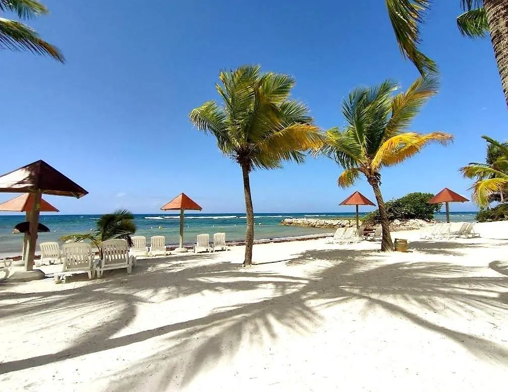 Appartement La Perle des Caraïbes à Sainte-Anne  Guadeloupe